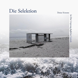 Die Selektion Deine Stimme Ist Der Ursprung Jeglicher Gewalt REISSUE VINYL LP + INSERT