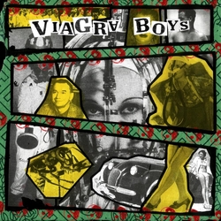 Viagra Boys Consistency Of Energy/Call Of The Wild REISSUE VINYL LP IN EMBOSSED SLEEVE