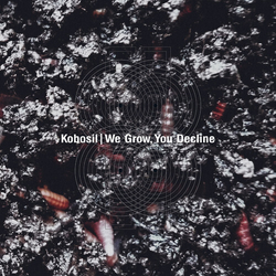Kobosil We Grow You Decline VINYL 2LP + MP3 DOWNLOAD CODE