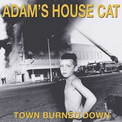 Adam'S House Cat Town Burned Down YELLOW VINYL LP + BOOKLET + MP3 DOWNLOAD CODE