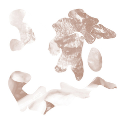 Soft Tissue Hi Leaves VINYL LP + MP3 DOWNLOAD CODE LIMITED TO 300 COPIES
