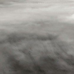 Lynn Wright Before The Sinking Plains VINYL LP + INSERT LIMITED TO 300 COPIES