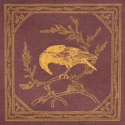 Curiosity Shop Bound For The Sky LIMITED 10INCH