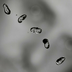 Peter Gabriel Up HALF SPEED REMASTERED 180GM VINYL 2LP + MP3 DOWNLOAD CODE