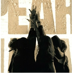 Pearl Jam Ten REMASTERED 180GM AUDIOPHILE VINYL 2LP