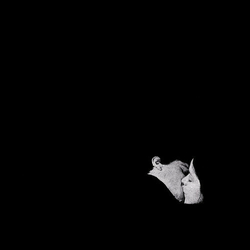 Bob Moses Days Gone By HEAVYWEIGHT 2LP + MP3 DOWNLOAD CODE