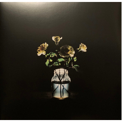 Billy Strings Renewal VINYL 2LP + BOOKLET