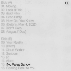 Sylvan Esso No Rules Sandy COLOURED VINYL LP + FOLD-OUT POSTER