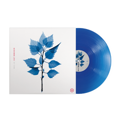 Matt Berninger Get Sunk LIMITED COBALT BLUE VINYL LP IN SPOT-VARNISHED SLEEVE