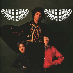 The Jimi Hendrix Experience Are You Experienced HEAVYWEIGHT VINYL 2LP