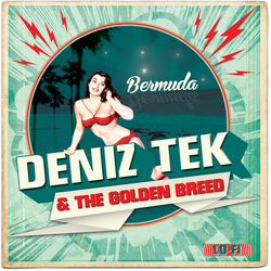 Deniz & The Golden Breed Tek Bermuda VINYL 7INCH