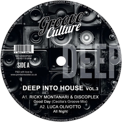 Ricky/Discoplex/Luca Olivotto/Memi P/Gisele Jackson/Andrea Tomei Montanari Deep Into House Vol 3 VINYL 12INCH