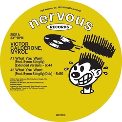 Victor/Mykol Calderone What You Want VINYL 12INCH