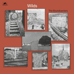 The Soundcarriers Wilds VINYL LP
