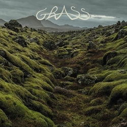 Grass Grass VINYL LP+ INSERT