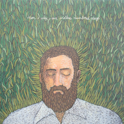 Iron & Wine Our Endless Numbered Days VINYL LP