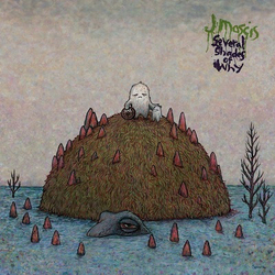 J Mascis Several Shades Of Why VINYL LP + MP3 DOWNLOAD CODE