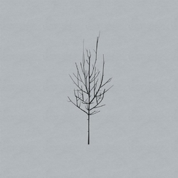 Low Ones & Sixes VINYL 2LP + MP3 DOWNLOAD CODE