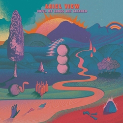 Ariel View Until My Lungs Are Cleared (Vinyl) Vinyl  LP 