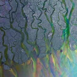 Alt-J Awesome Wave Vinyl  LP