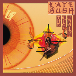 Kate Bush Kick Inside Vinyl  LP