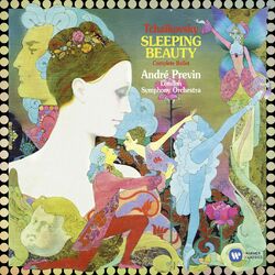 P.I. Tchaikovsky Tchaikovsky: The Sleeping Beauty Vinyl  LP