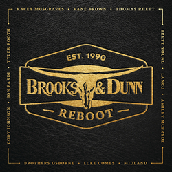 Brooks & Dunn Reboot Vinyl  LP