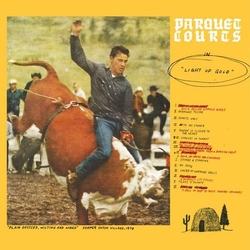 Parquet Courts Light Up Gold VINYL  LP