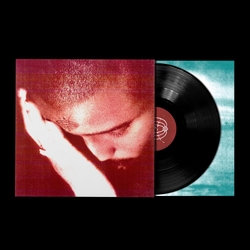 Nourished By Time The Passionate Ones VINYL  LP