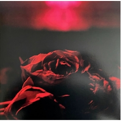 The Paper Kites Roses (Cherry Colour Vinyl) LP 