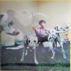Rex Orange County Who Cares VINYL  LP