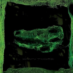 Avey Tare Down There VINYL  LP