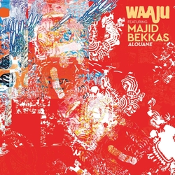 Waaju Alouane VINYL 2 LP 