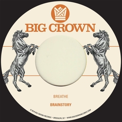 Brainstory Breathe / Sorry