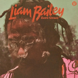 Liam Bailey Zero Grace (Seaglass Vinyl) VINYL  LP
