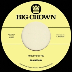 Brainstory Nobody But You B/W Gift Of Life VINYL 7