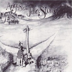 Angus Stone & Julia A Book Like This (2 LP) Vinyl  LP