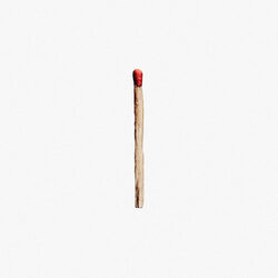 Rammstein Rammstein (Vinyl) Vinyl  LP