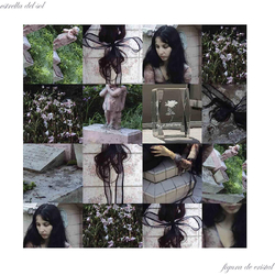 Estrella Del Sol Figura De Cristal [ LP] (Baby Pink Vinyl) VINYL  LP