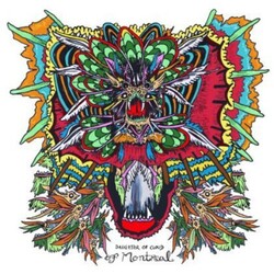 Of Montreal Daughter Of Cloud ( LP/Incl. Mp3 Download) Vinyl  LP 