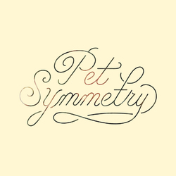 Pet Symmetry Vision Vinyl  LP
