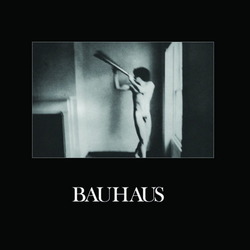Bauhaus In The Flat Field VINYL  LP+CD