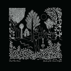Dead Can Dance Garden Of The Arcane Delights + Peel Ses VINYL 2 LP 