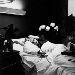 Antony & The Johnsons I Am A Bird Now Vinyl  LP