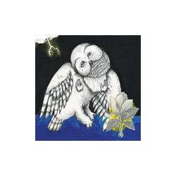 Songs: Ohia Magnolia Electric Company Co. (Deluxe Re (2  LP) Vinyl  LP