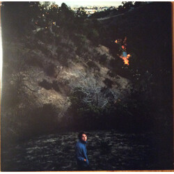 Kevin Morby Singing Saw Vinyl  LP