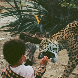Unknown Mortal Orchestra V VINYL 2 LP 