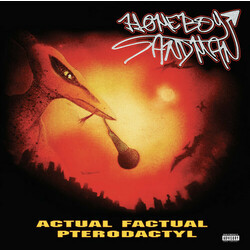 Homeboy Sandman Actual Factual Pterodactyl Vinyl  LP
