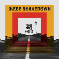 Ikebe Shakedown The Way Home Vinyl  LP