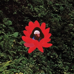 Lionmilk When The Flowers Bloom VINYL  LP(150G)